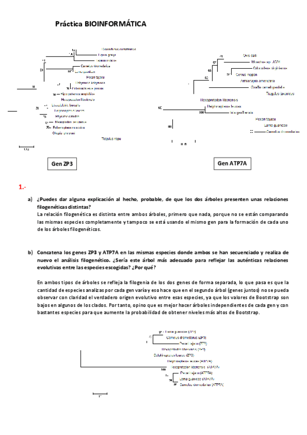 Miniatura del documento Ejercicio entrega BIOINFORMÁTICA.pdf