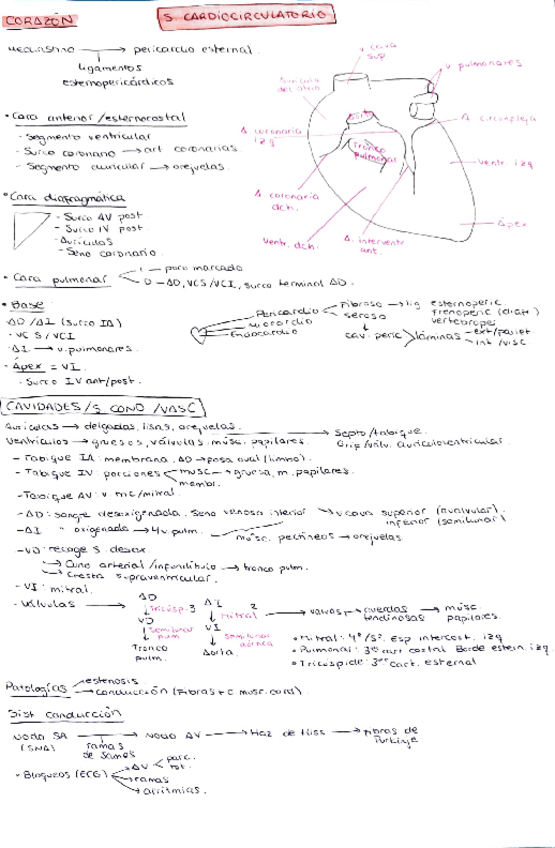 Miniatura del documento Parcial-2-resumen.pdf