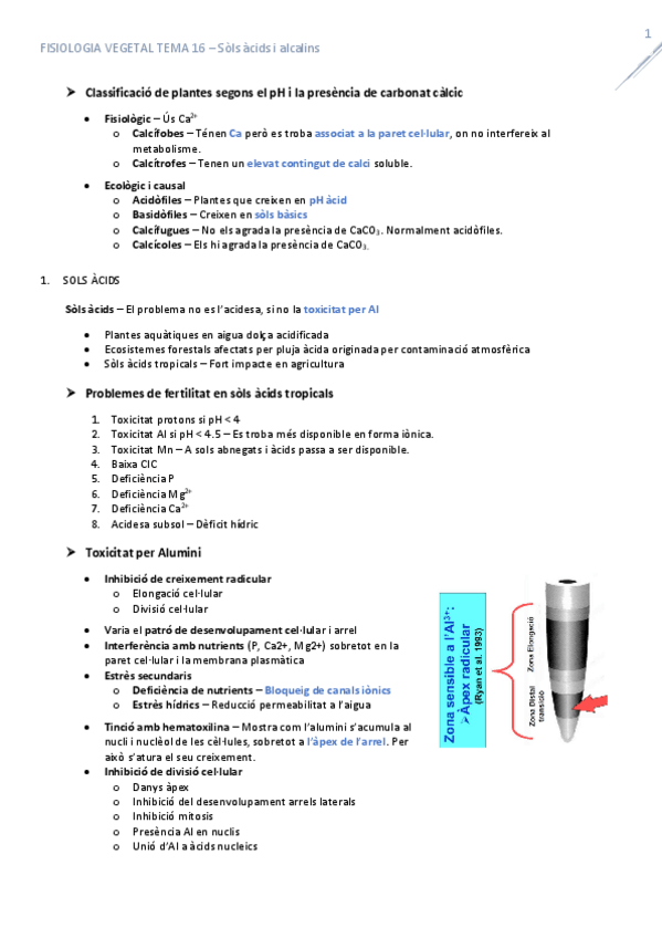 Miniatura del documento T16SolsAcidsAlcalins.pdf