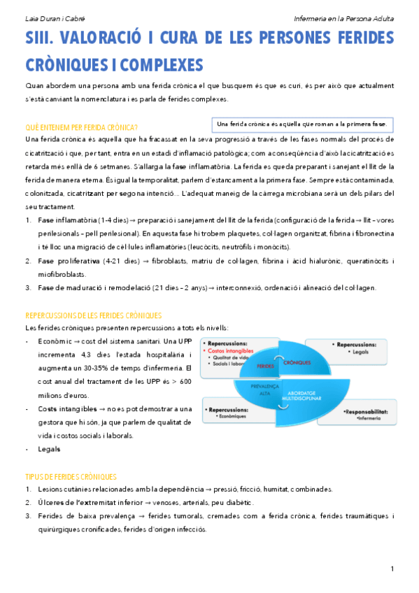 Miniatura del documento SIIIFeridesCroniques.pdf