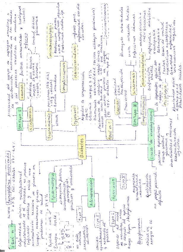 Miniatura del documento Esquema-diabetes.pdf