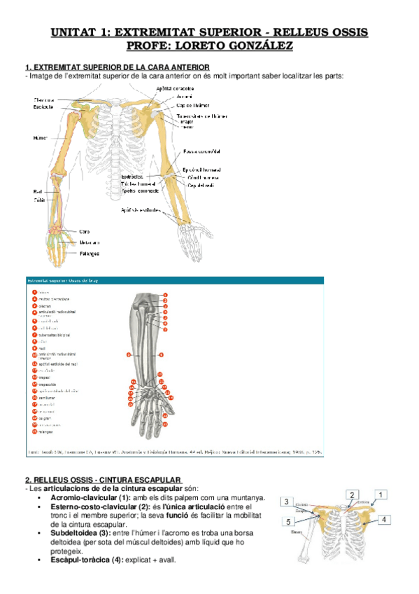 Miniatura del documento Parcial-2-Loreto.docx