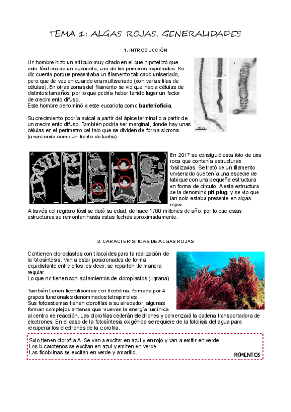 Miniatura del documento T1Algas-Rojas.pdf