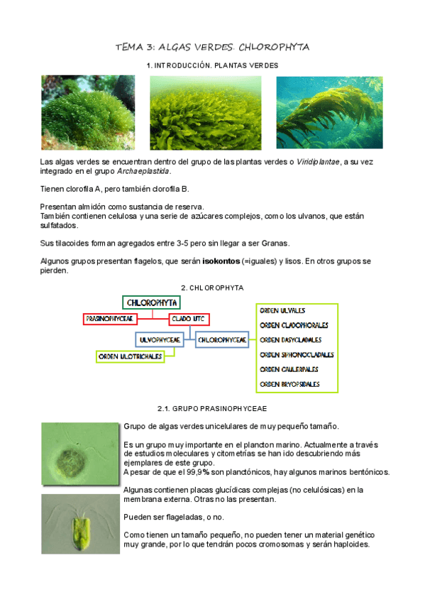 Miniatura del documento T3Algas-verdes.pdf