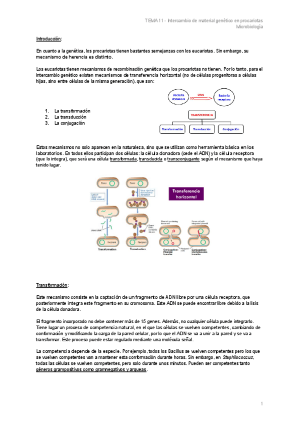 Miniatura del documento TEMA-11-Intercambio-de-material-genetico-en-procariotas.pdf