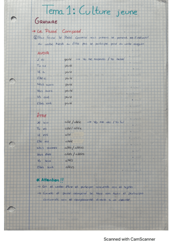 Miniatura del documento Toda-la-gramatica-Frances.pdf
