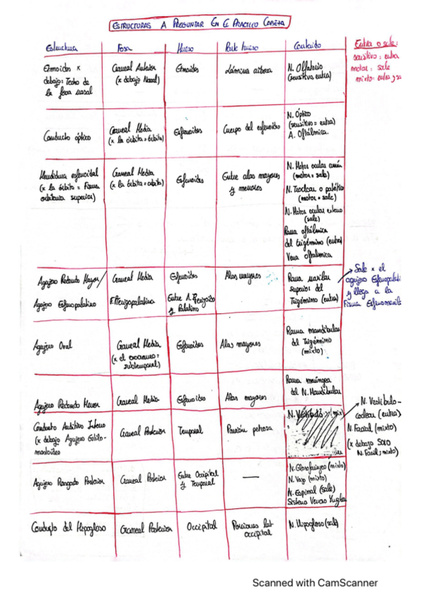 Miniatura del documento ESQUEMA-PRACTICO-CABEZA-PARA-APROBAR-SEG.pdf
