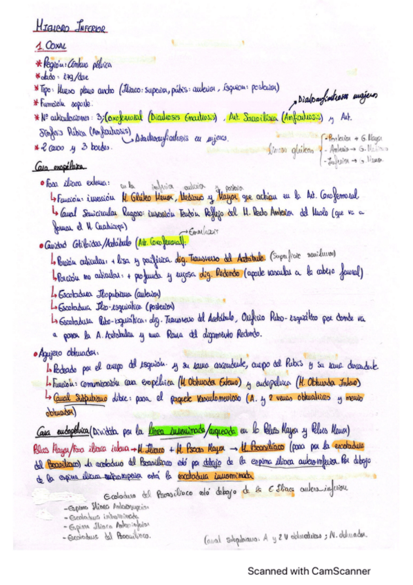Miniatura del documento EXAMEN-PRACTICO-MIEMBRO-INFERIOR.pdf