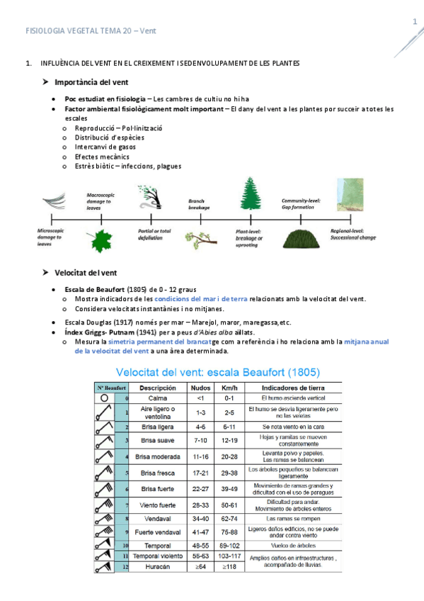 Miniatura del documento T20Vent.pdf