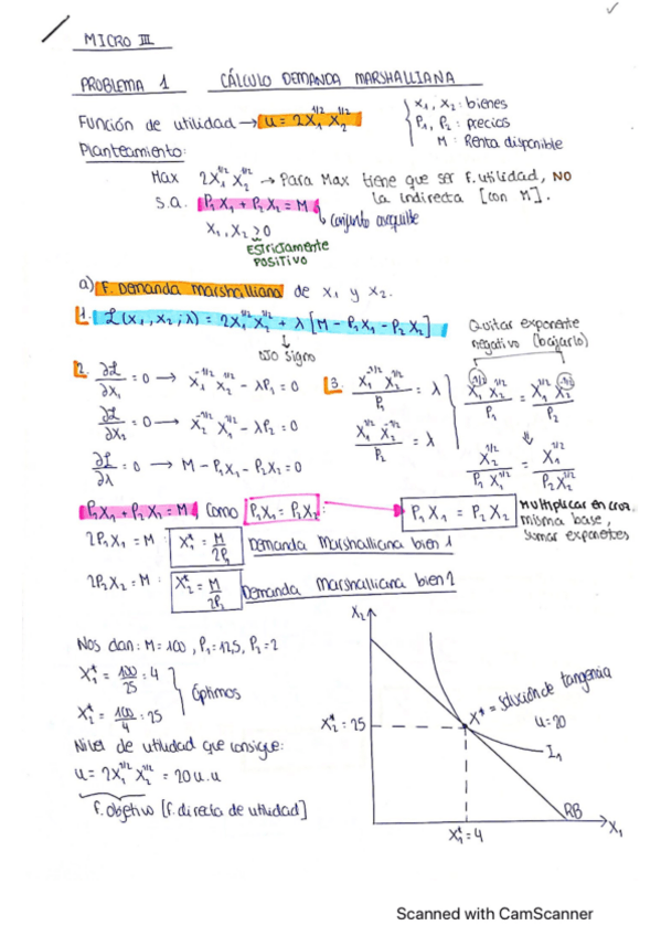 Miniatura del documento PROBLEMAS-RESUELTOS-MICRO-III.pdf