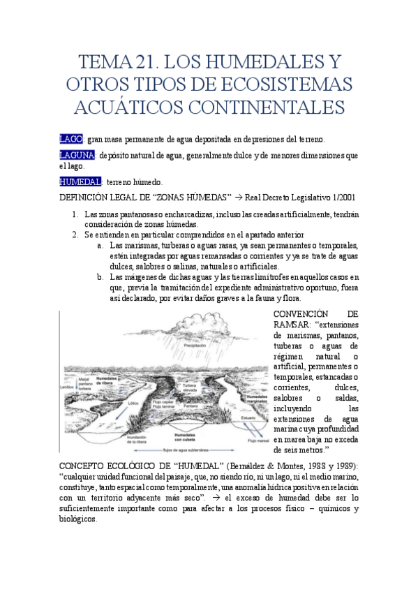 Miniatura del documento TEMA-21.-LOS-HUMEDALES-Y-OTROS-TIPOS-DE-ECOSISTEMAS-ACUATICOS-CONTINENTALES.pdf