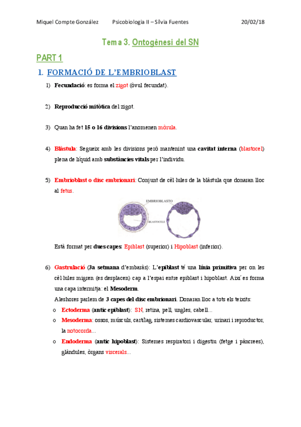 Miniatura del documento TEMA 3. Ontogènesi del SN.pdf