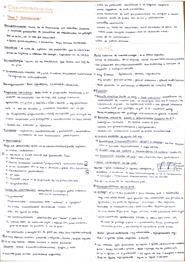 Miniatura del documento Resumen dermo.pdf