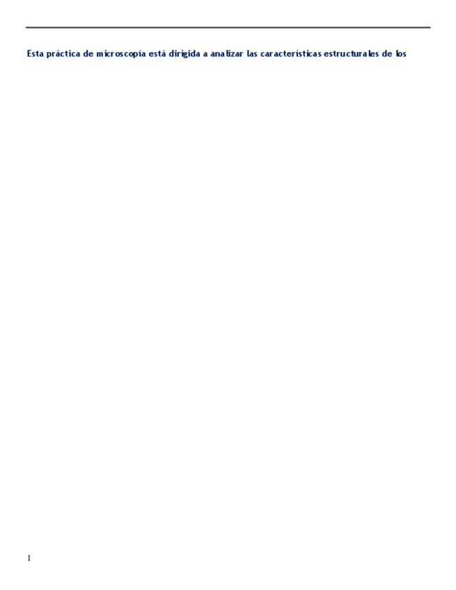 Miniatura del documento dsa.pdf