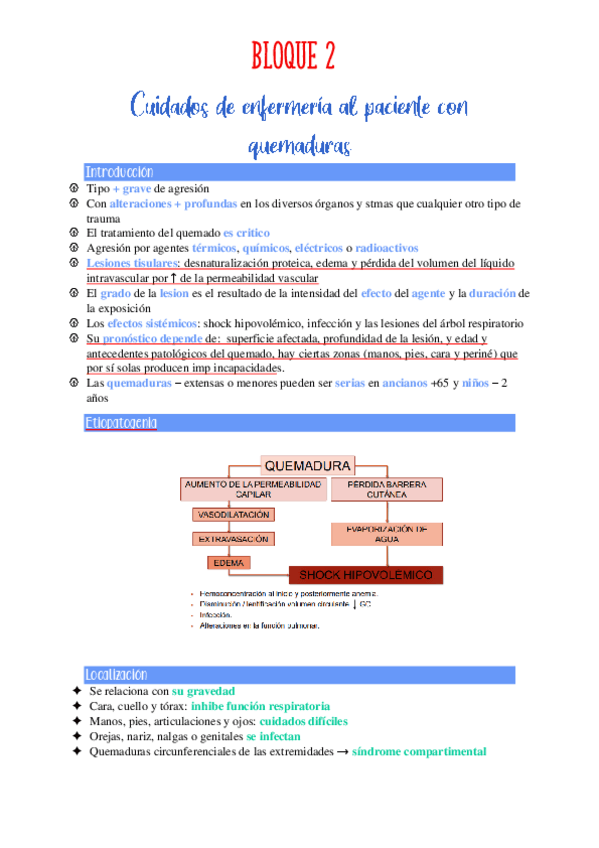 Miniatura del documento Quemaduras-y-infecciones-Enfermeria-clina.pdf