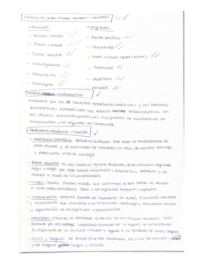 Miniatura del documento Tema-1.pdf