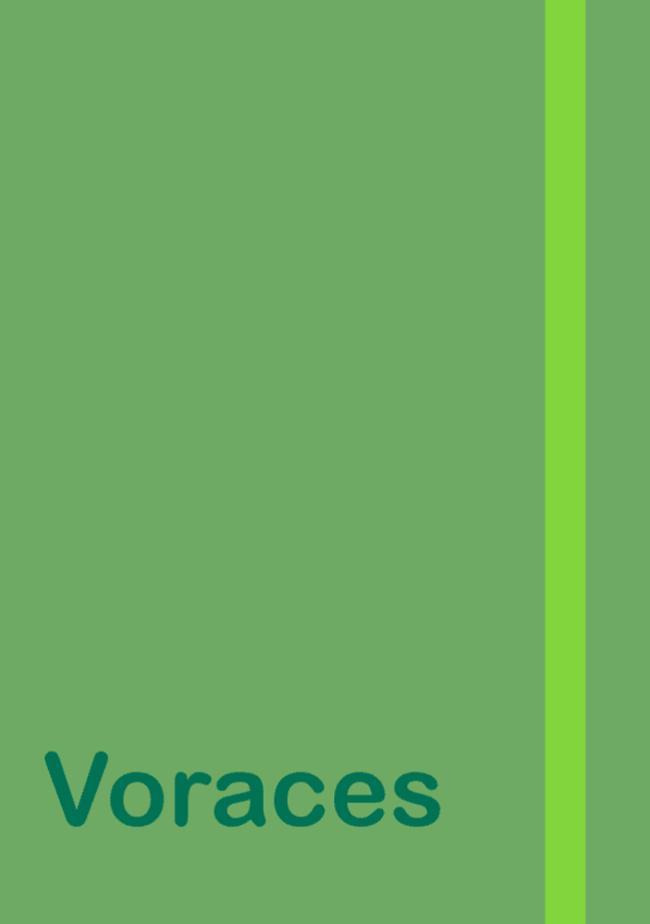 Miniatura del documento 3.-Voraces.pdf