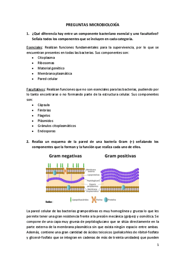 Miniatura del documento RECOPILATORIO-Preguntas-micro.pdf