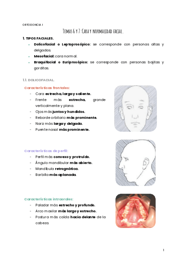 Miniatura del documento TEMAS-6-7-ORTO.pdf