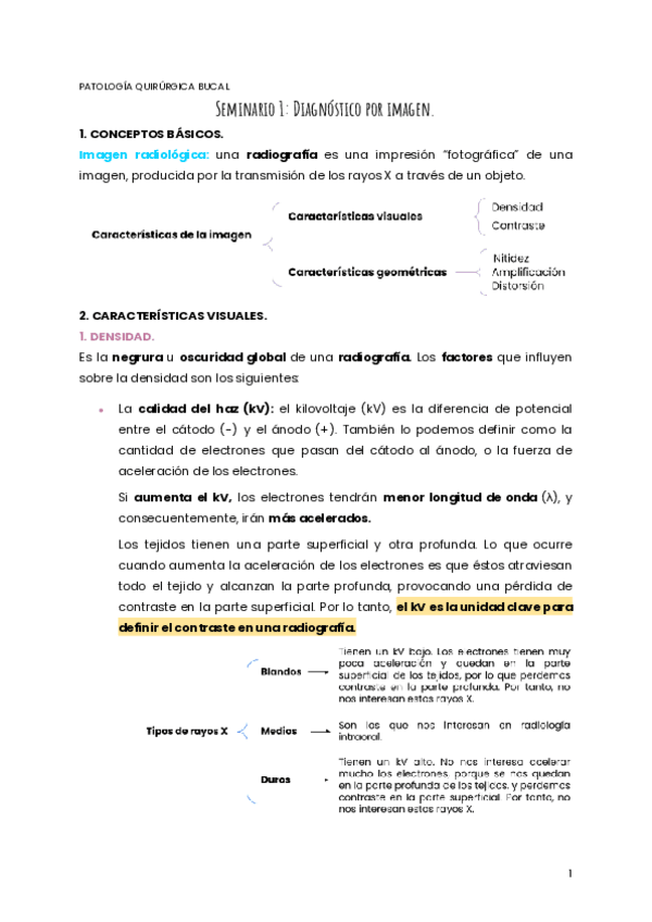 Miniatura del documento SEMINARIO-1-PQB.pdf