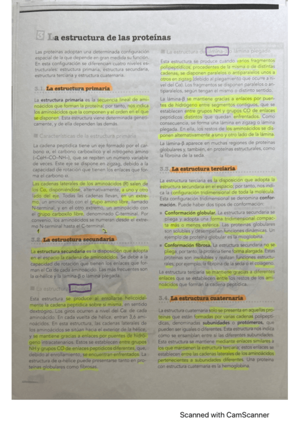 Miniatura del documento Bioquimica.pdf