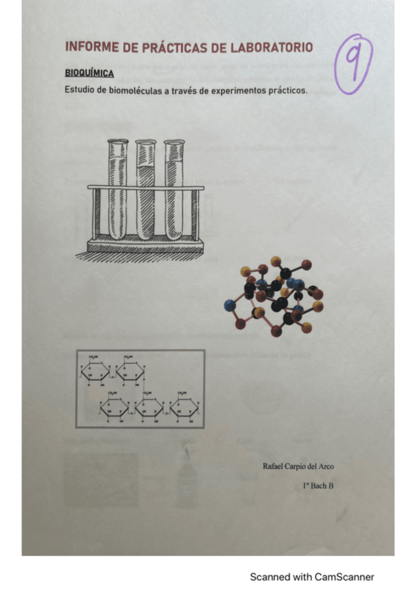 Miniatura del documento Practica-laboratorio-bioquimica.pdf