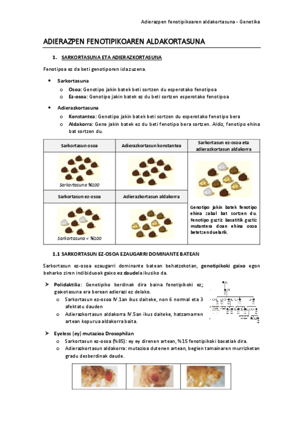 Miniatura del documento ADIERAZPEN-FENOTIPIKOAREN-ALDAKORTASUNA.pdf