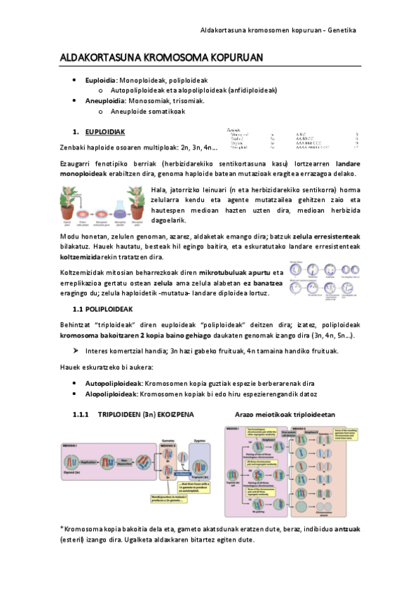 Miniatura del documento KROMOSOMA-KOPURU.pdf