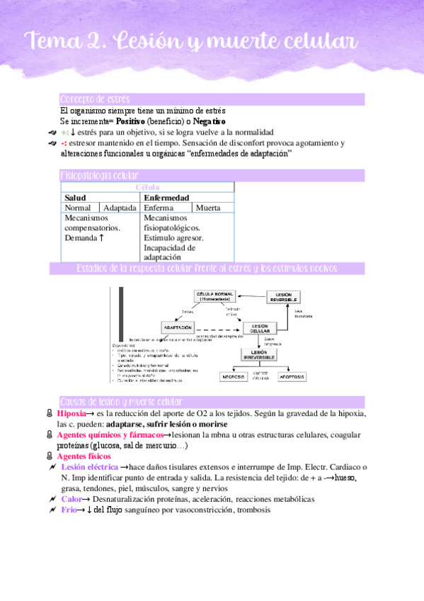 Miniatura del documento Tema-2.pdf