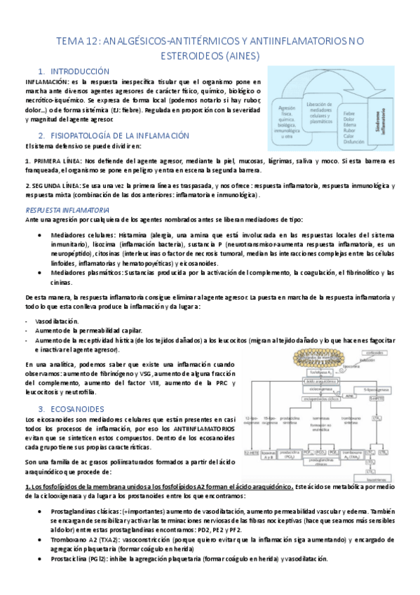 Miniatura del documento UDIII-dolor-e-inflamacion.pdf
