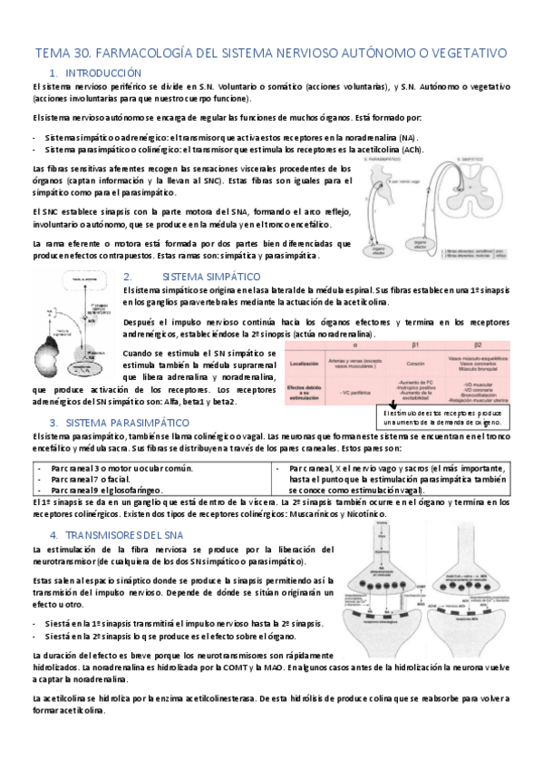 Miniatura del documento UDIII-SN.pdf