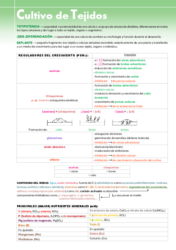 Miniatura del documento BIOTEC-VEG-T3.pdf
