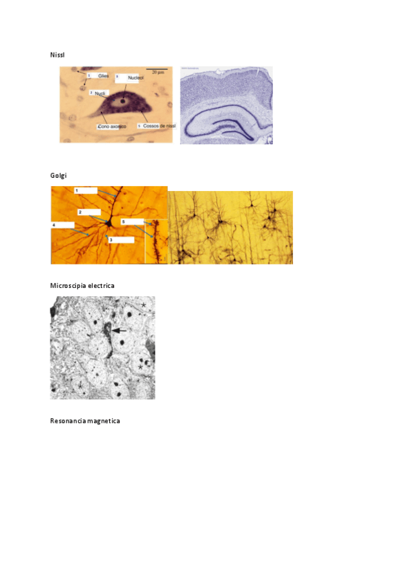 Miniatura del documento examen-practico-tecnicas.pdf