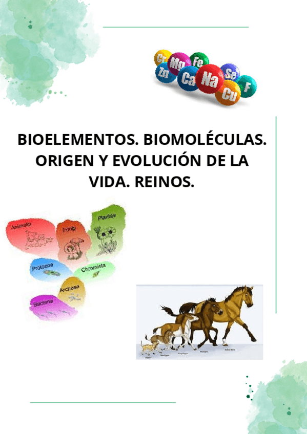 Miniatura del documento BIOELEMENTOS.-BIOMOLECULAS.-ORIGEN-Y-EVOLUCION-DE-LA-VIDA.-REINOS.-apuntes-examen.pdf