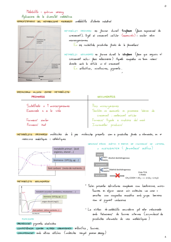 Miniatura del documento Metabolics-I-Quorum-Sensing.pdf