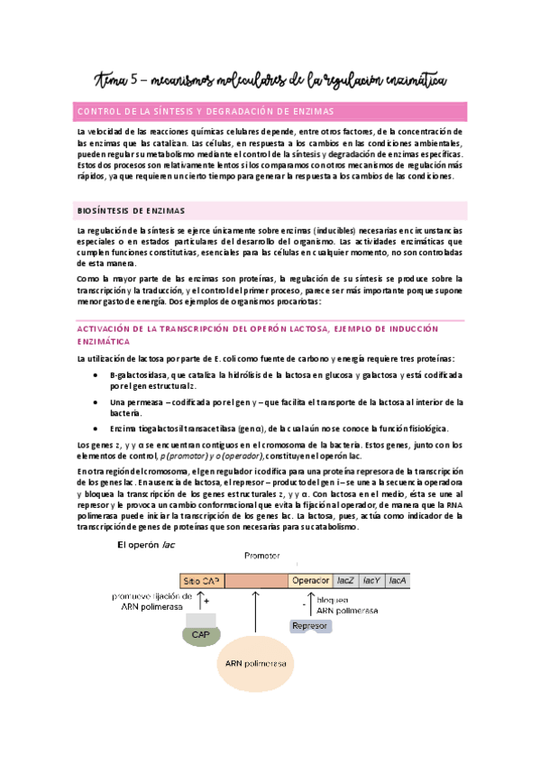 Miniatura del documento Tema 5 - mecanismos moleculares de la regulación enzimática.pdf