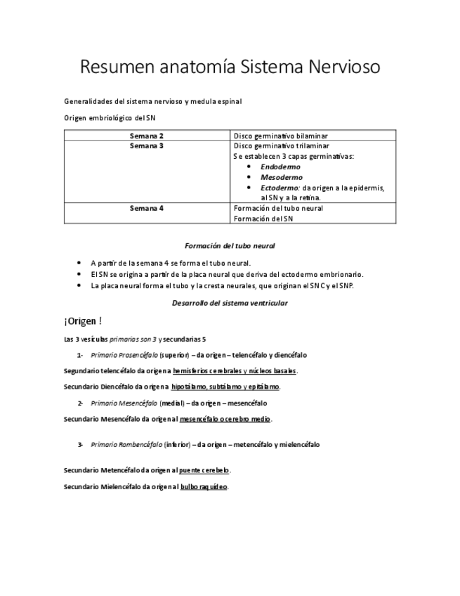 Miniatura del documento Resumen-anatomia-Sistema-Nervioso-morfo.pdf