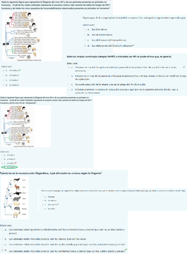 Miniatura del documento PREGUNTAS-EXAMEN-BIOLOGIA.pdf