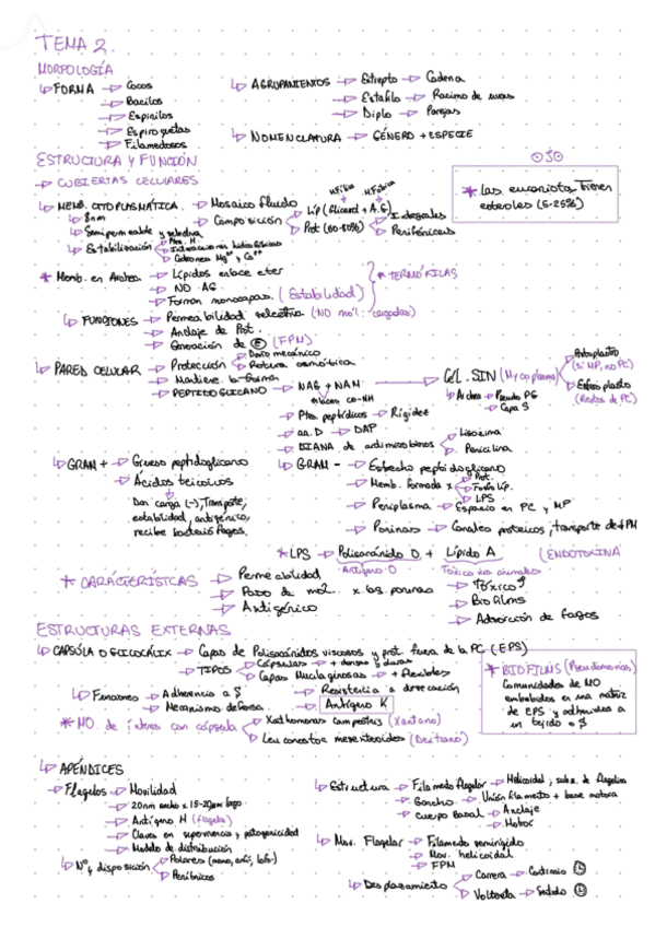 Miniatura del documento Tema-2..pdf