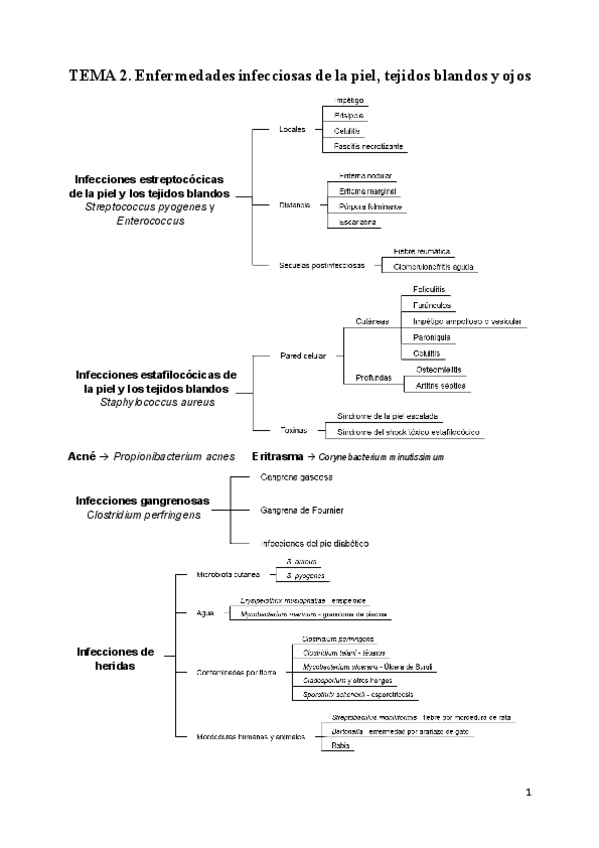 Miniatura del documento Esquemas-enfermedad-nombre.pdf