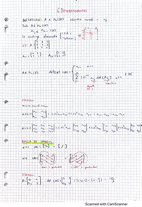 Miniatura del documento 6.-Determinantes.pdf