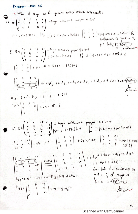 Miniatura del documento Ejercicios-Matrices.pdf