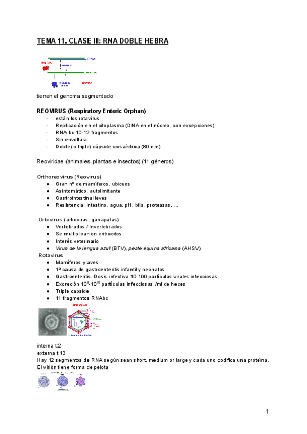Miniatura del documento TEMA-11.-CLASE-III-RNA-DOBLE-HEBRA.pdf