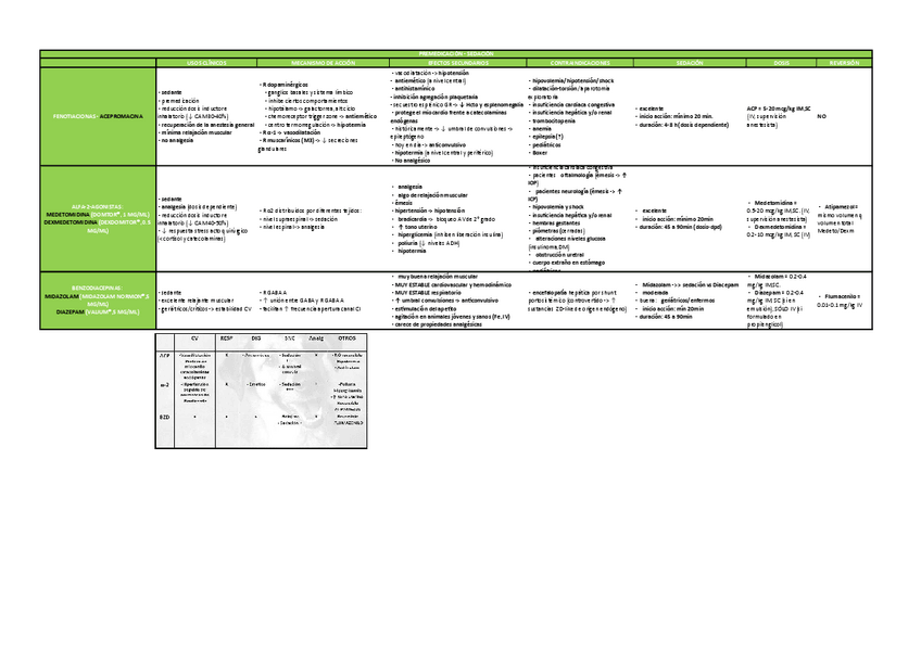 Miniatura del documento PREMEDICACION.pdf