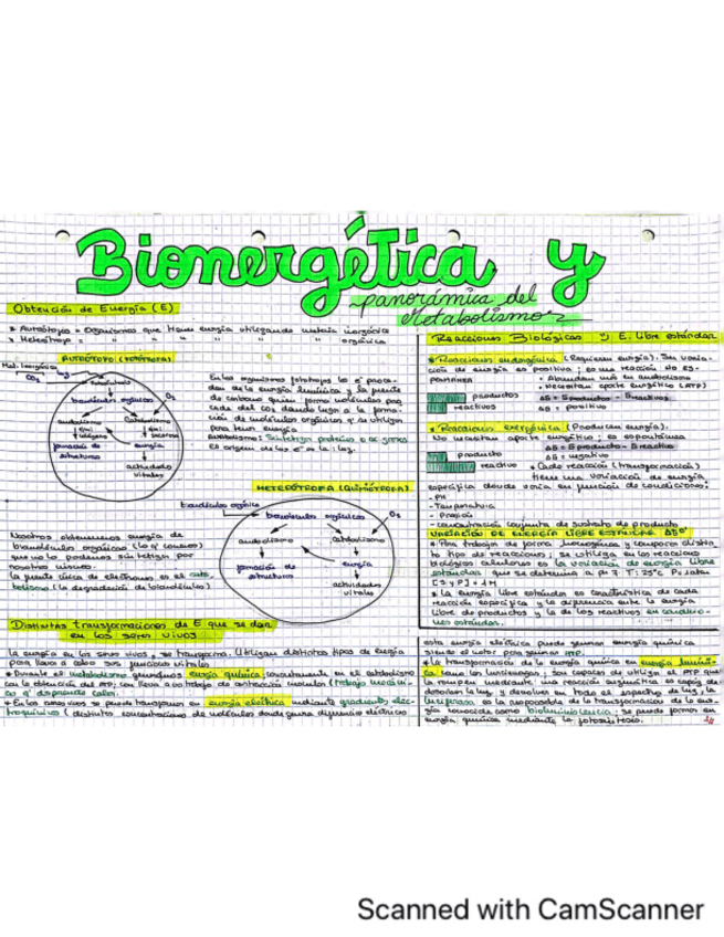 Miniatura del documento T7-Y-T8-BIOENERGETICA-y-PANORAMICA.pdf
