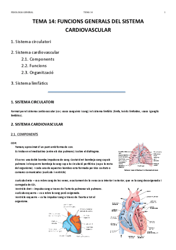 Miniatura del documento TEMA 14.pdf