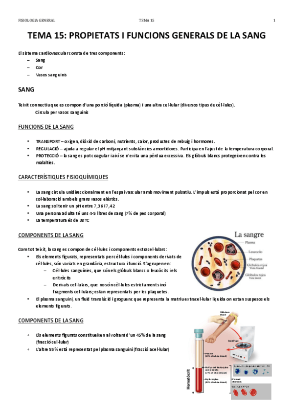 Miniatura del documento TEMA 15.pdf