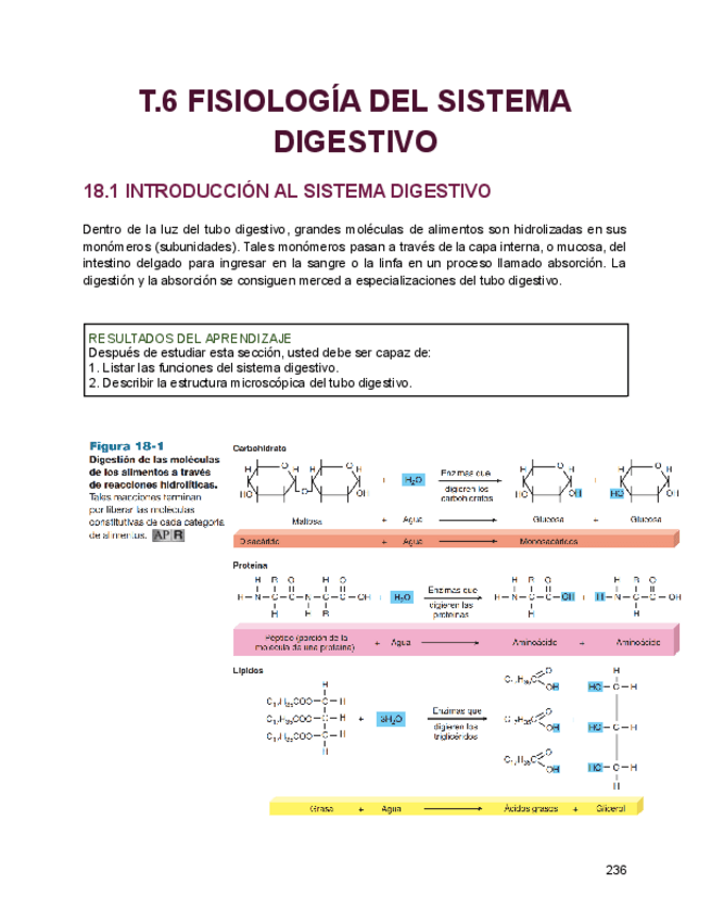Miniatura del documento T.6-fisiologia.pdf