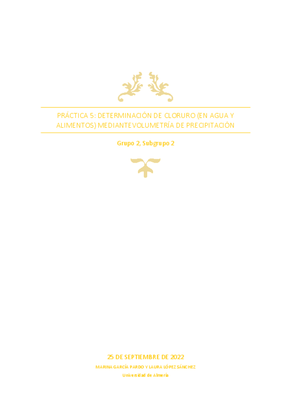 Miniatura del documento GR2SUBGRUPO2INFORME5LABQAIREV.pdf