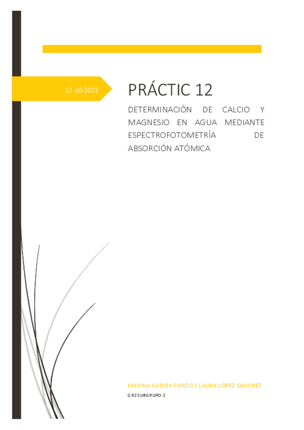 Miniatura del documento GR2SUBGRUPO2INFORME12LABQAIREV.pdf
